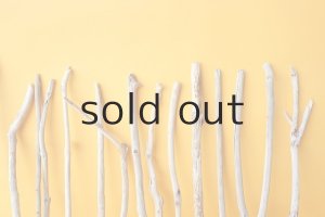 画像6: 小枝流木セット