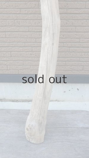 画像2: 大型　幹