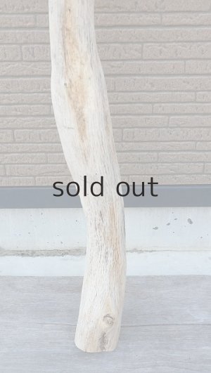 画像2: 大型　幹