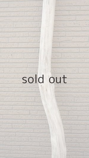 画像3: 大型　幹