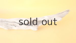 画像5: 変形流木