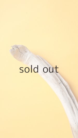 画像4: 変形流木