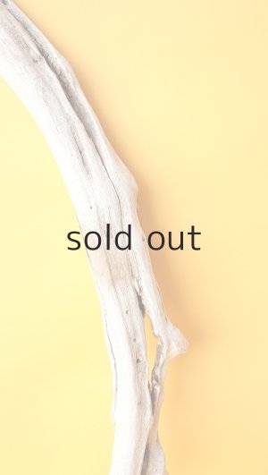 画像3: 変形流木