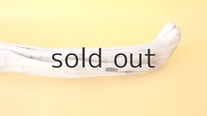 画像7: 変形流木