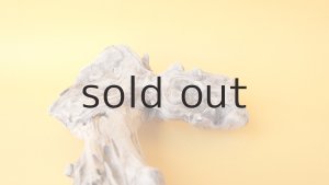 画像7: 変形流木