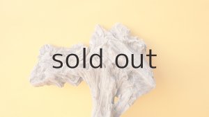 画像4: 変形流木