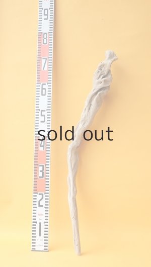 画像7: 流木根（中型）