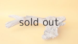 画像5: 変形流木