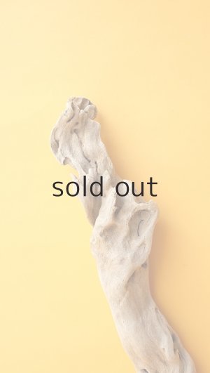 画像4: 流木根（中型）