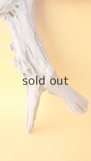 画像2: 変形流木