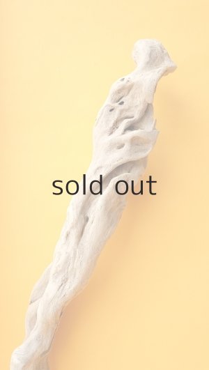 画像6: 流木根（中型）