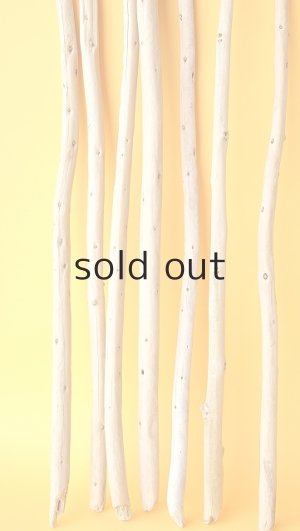 画像5: 棒流木セット