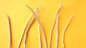 画像4: 棒流木セット