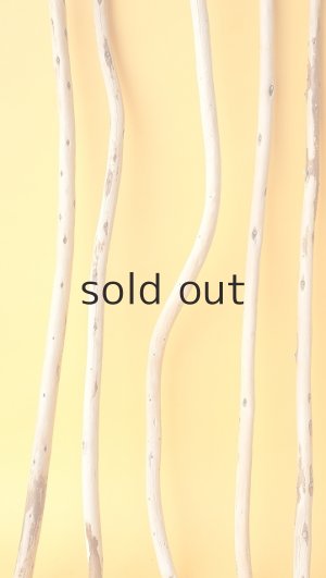 画像5: 棒流木セット