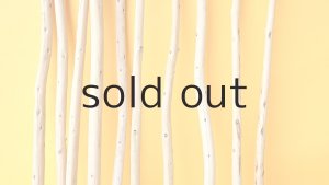 画像3: 棒流木セット