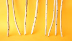 画像2: 棒流木セット