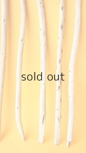 画像6: 棒流木セット