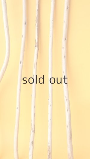 画像6: 棒流木セット