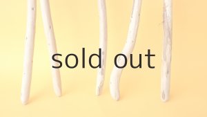 画像2: 棒流木セット