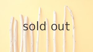 画像4: 棒流木セット