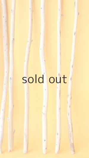 画像6: 棒流木セット