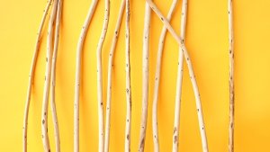 画像3: 棒流木セット