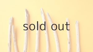 画像4: 棒流木セット