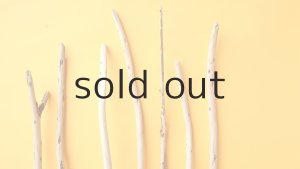 画像4: 棒流木セット