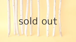 画像2: 棒流木セット