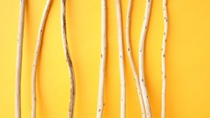 画像3: 棒流木セット