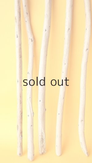 画像5: 棒流木セット