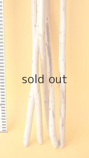 画像6: 棒流木セット