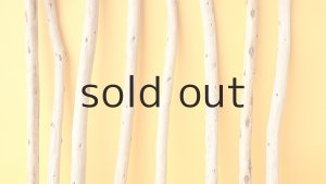 画像3: 棒流木セット