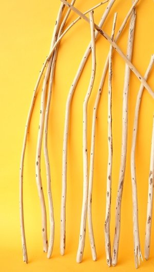 画像5: 棒流木セット