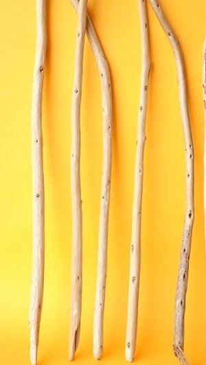 画像5: 棒流木セット