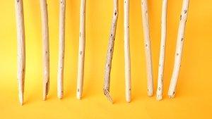 画像2: 棒流木セット