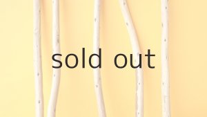 画像3: 棒流木セット