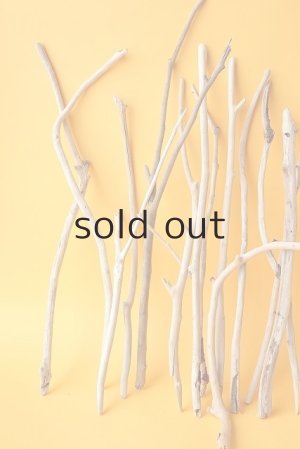 画像2: 小枝流木セット