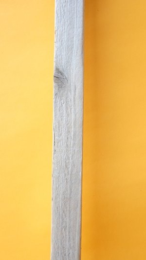 画像7: 板流木（角材）