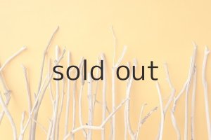 画像6: 小枝流木セット