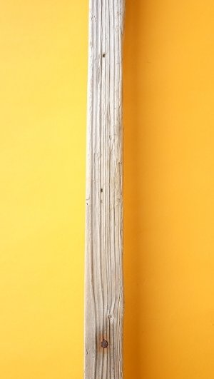 画像3: 板流木（角材）
