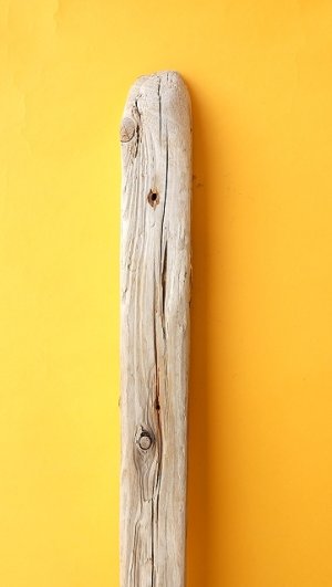 画像4: 板流木（角材）