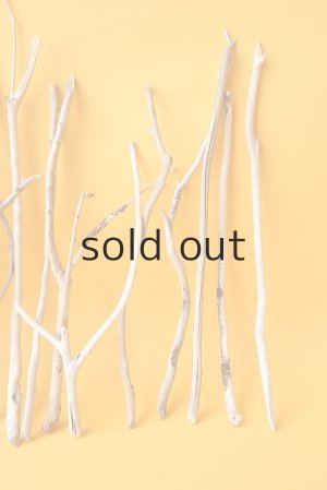 画像4: 小枝流木セット