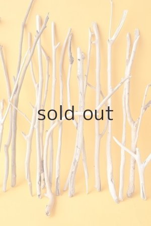 画像3: 小枝流木セット