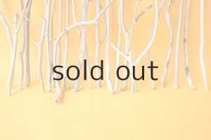 画像5: 小枝流木セット