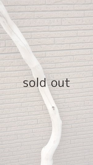 画像7: 幹流木・長尺