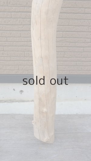 画像2: 大型　幹