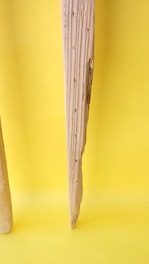 画像5: 板流木セット