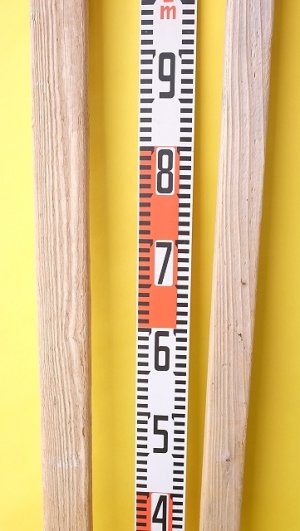 画像7: 板流木セット