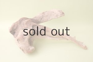 画像8: 流木根（中型）